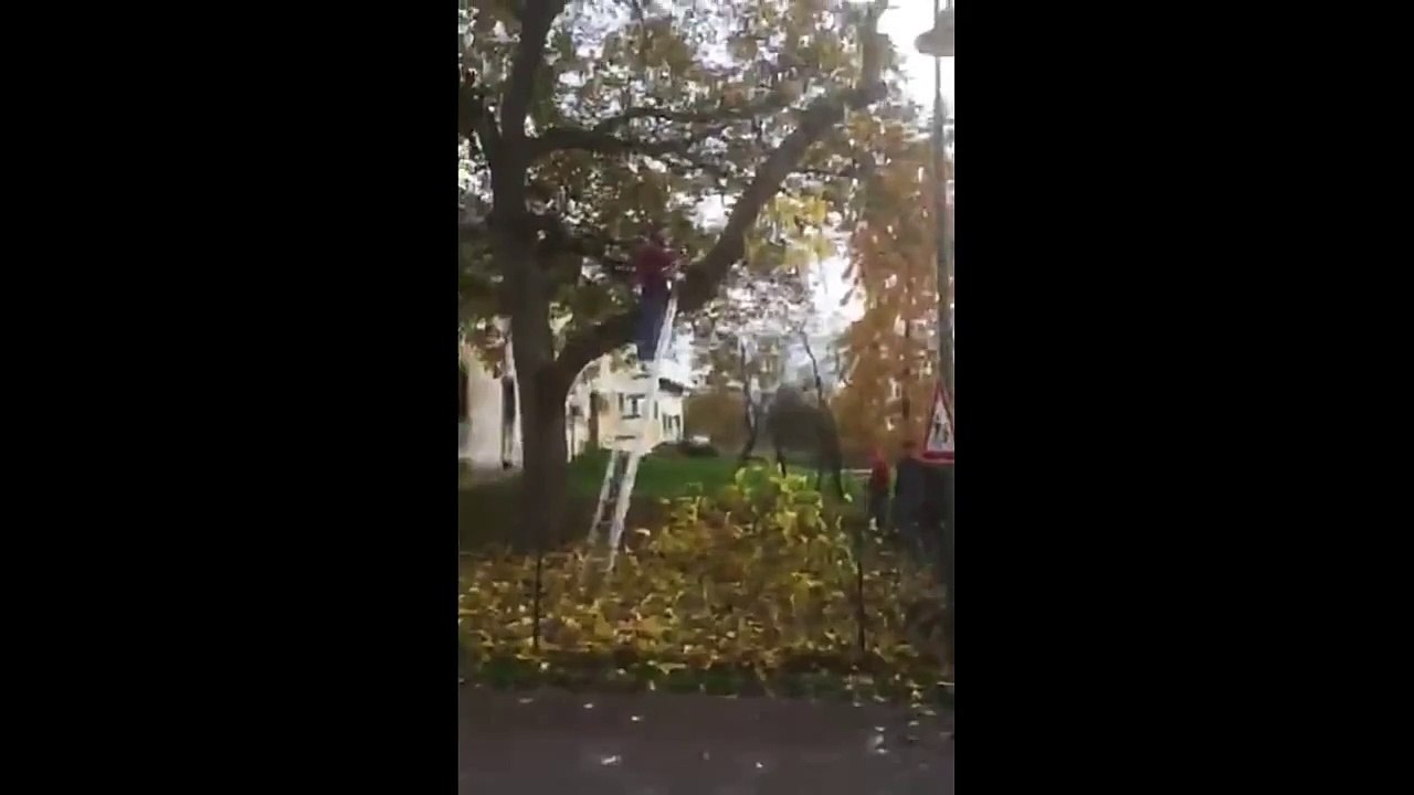 FAIL TREE CUTTING