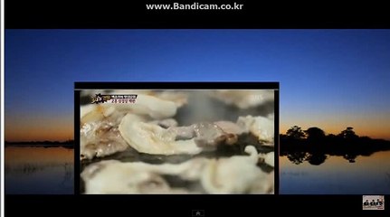 #토토 사이트 제작 토토솔루션 BKSOFT 해외서버호스팅, 원하시는 디자인 가능 (방문: totobksoft.com)