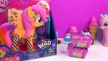 MLP Design a Pony Scootaloo Pegasus My Little Pony Wild Rainbow Shopkins Blind Bags Review