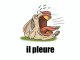 Learn French - Lapin en folie
