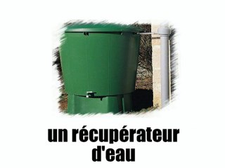 Learn French - Le jardinage