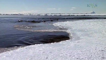 Beauty Under Antarctica's Ice Sheet, Icebergs & Penguins 93