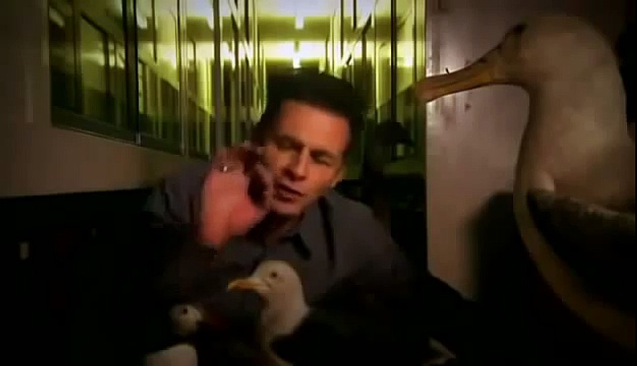 BIZARRE NATURE Strange Weird Events 2