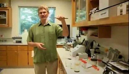 BIZARRE NATURE Strange Weird Events 7