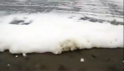 BIZARRE NATURE Strange Weird Events 15