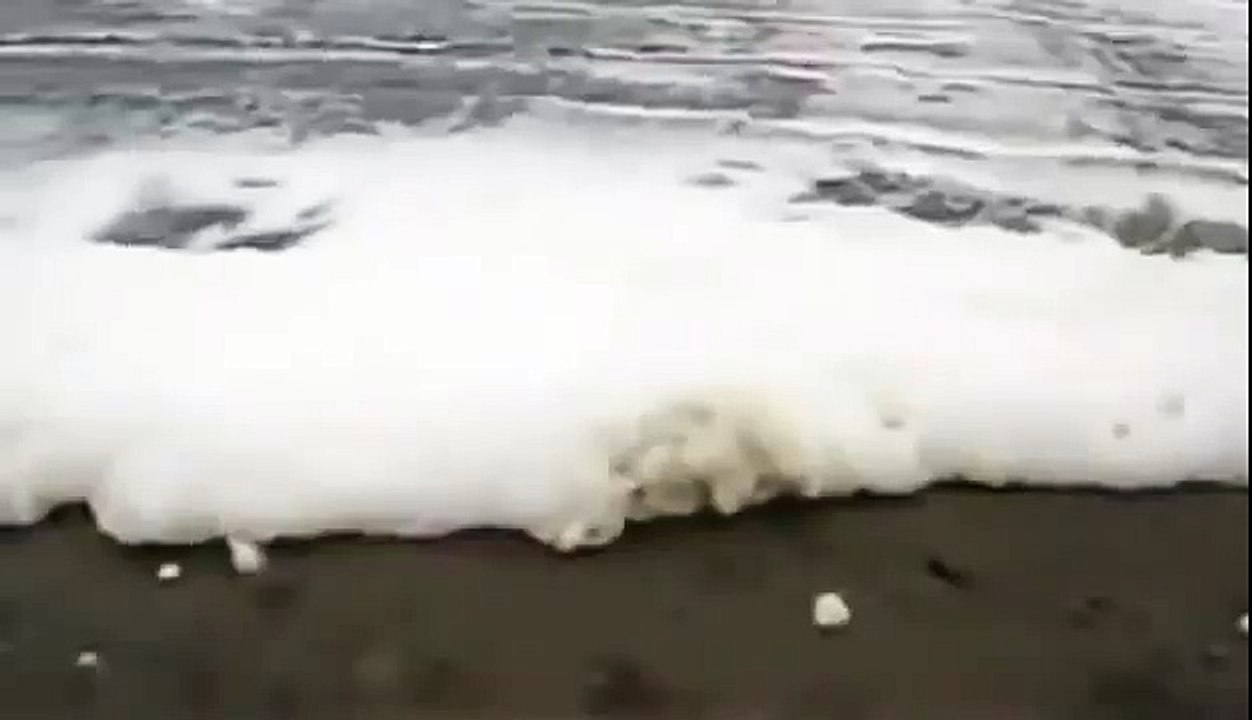 BIZARRE NATURE Strange Weird Events 15
