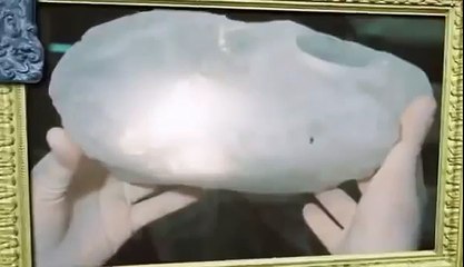 BIZARRE NATURE Strange Weird Events 23