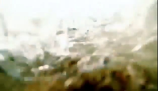 BIZARRE NATURE Strange Weird Events 33