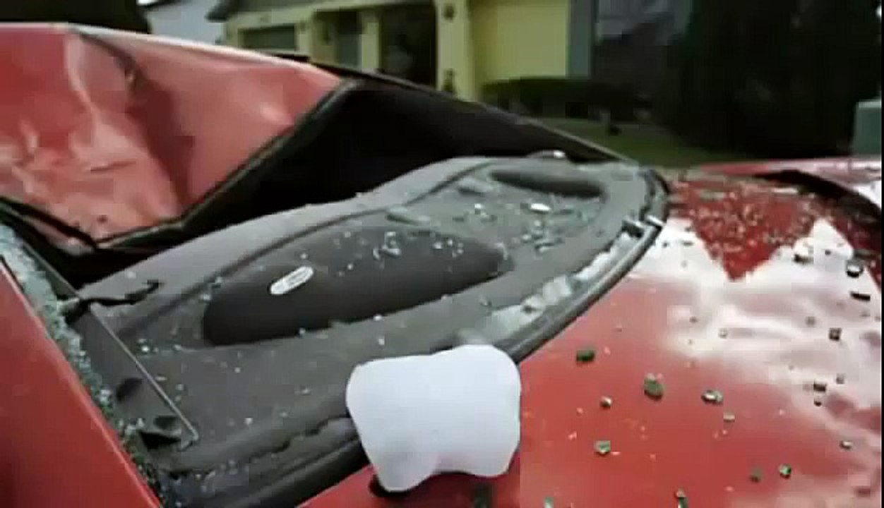 BIZARRE NATURE Strange Weird Events 37