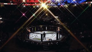 FRANK MIR VS MARK HUNT 19/03/2016  UFC FIGHT NIGHT