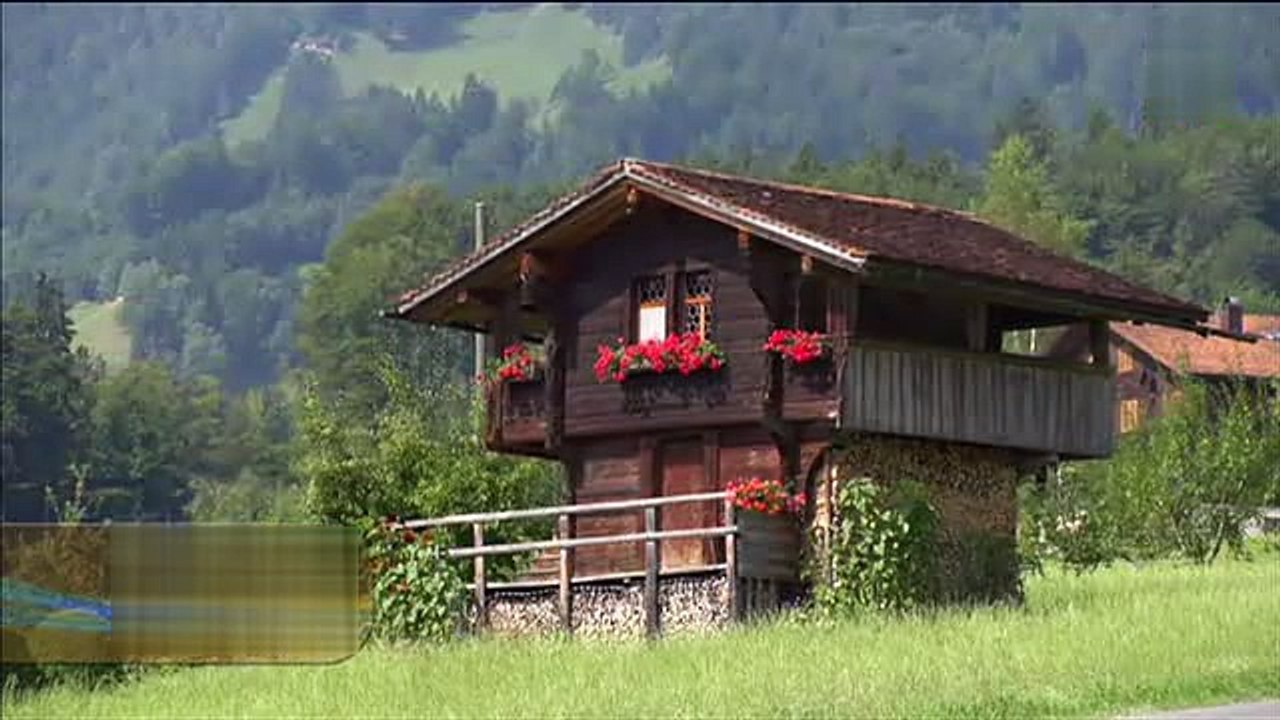 Ronny - Im schönsten Wiesengrunde