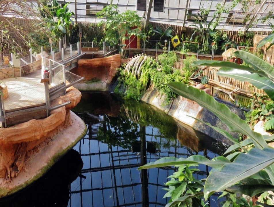 diaporamade la planète des crocodiles à Civaux 86