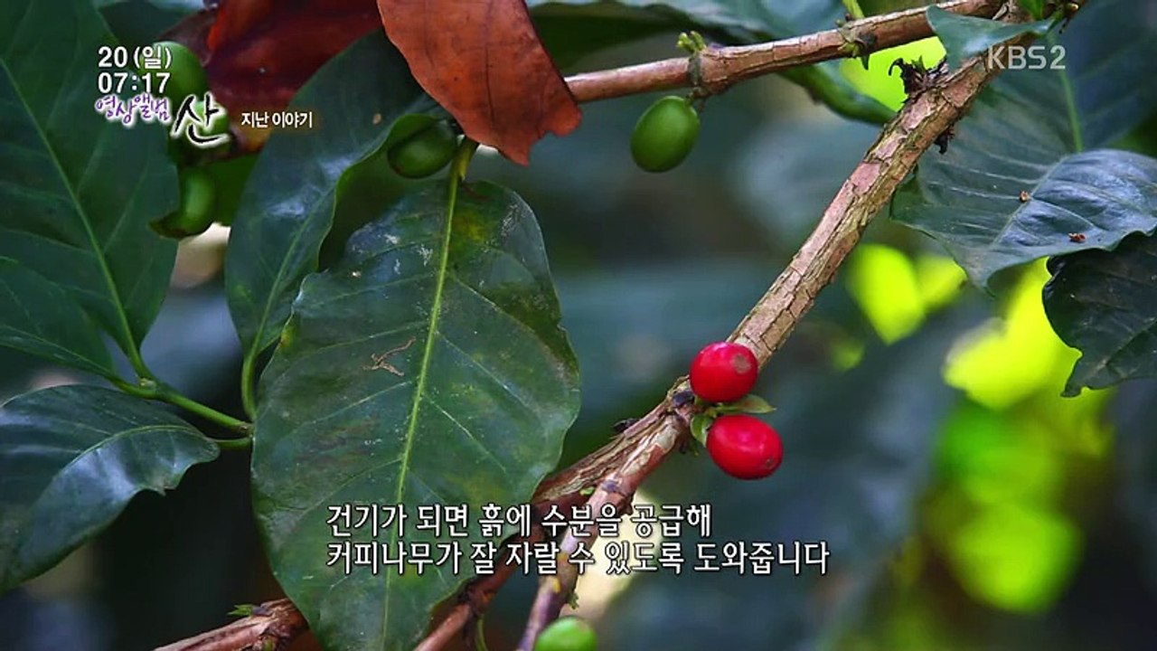 영상앨범 산.E518.160320.HD