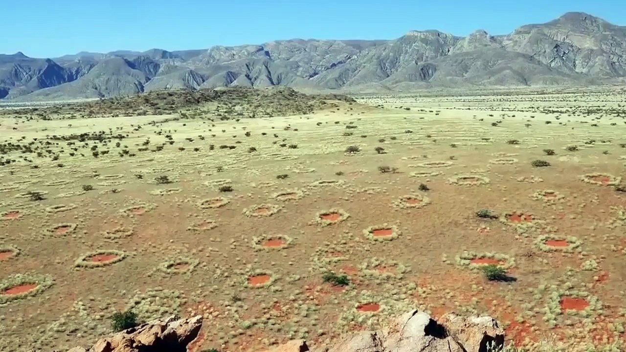 Le mystère des cercles de fées de Namibie enfin résolu ?