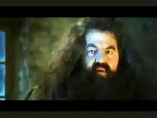 Harry your a Gangsta! (Alternative Version!)