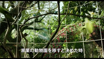 「ライフ・オブ・パイ / トラと漂流した227日」予告編