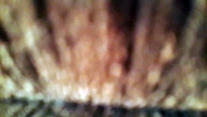 Furkan Erenalp Taşdemir Deniz Üstü Köpürür