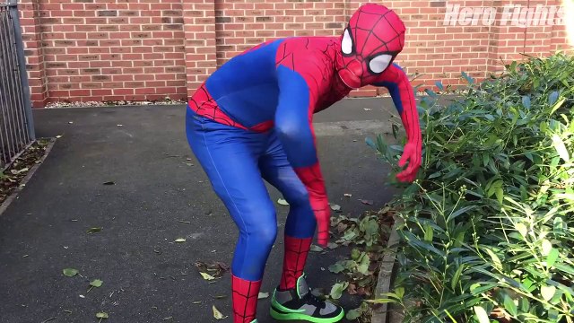 Spiderman Vs Duck Vs Hulk - Zombie Spider-man In Real Life | Fun Superheroes Movie!