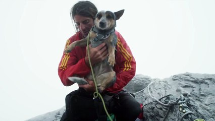 Sahibiyle Uçan Köpek