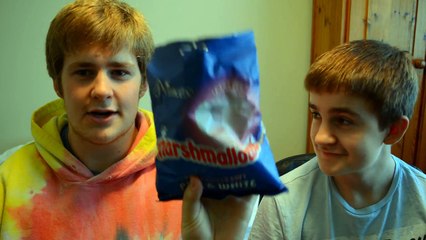 THE CHUBBY BUNNY CHALLENGE! Ft. MY BROTHER!