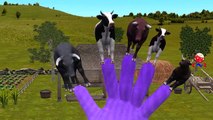 Finger Family Nursery Rhymes for Children Cow Cartoons   Finger Family Children Nursery Rhymes