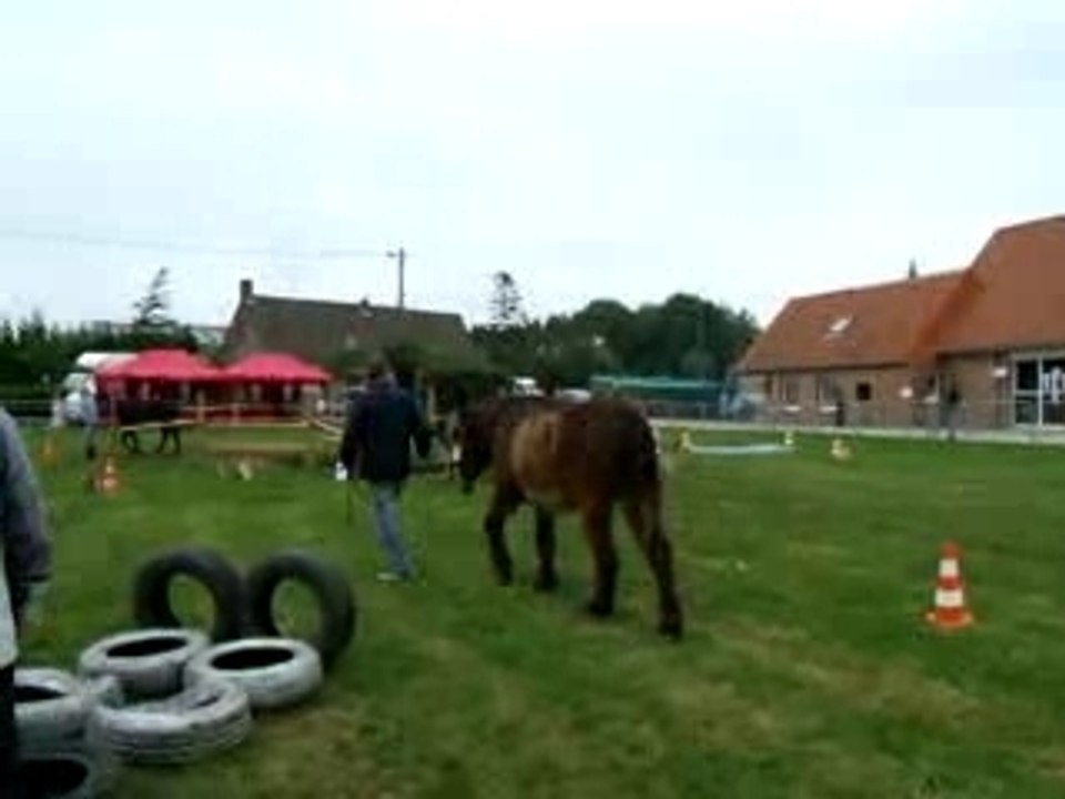 Igor en maniabilité
