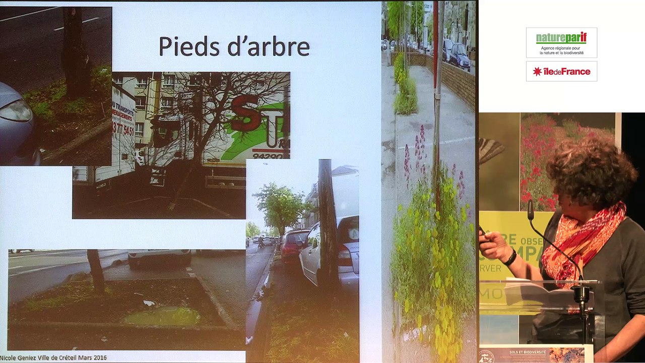 Sols et espaces verts à Créteil (Val-de-Marne)