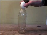 Yumurtayla Yapılan İlginç Deney