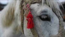 Los ortodoxos búlgaros celebran con carreras de caballos la llegada de la Pascua
