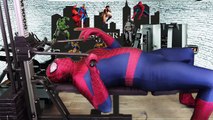 Spiderman In Real Life Superhero Movie Superhero Battle Parody Fight Batman vs joker Hulk fun movie