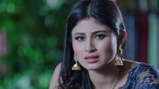 Naagin 20th March 2016 Full Episode Part 2