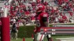 UGA Football: G Day Internet highlights: 2013