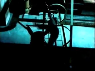 Cat Queen Bee Concrete Jungle