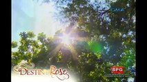 Destiny Rose: The rise of Destiny Rose