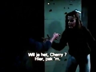 Cat Queen Bee Concrete Jungle