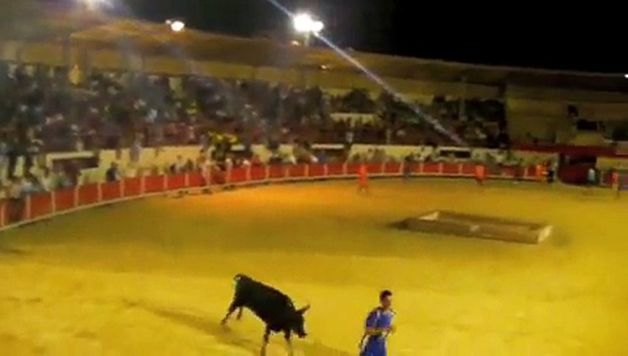 Fête Pérols 2009 - Taureau Piscine