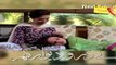 Bay Daro Deewar Ghar Episode 3 Promo