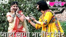 Pyara Lago Bhabhi Ne Devar Ladla Ji Raaj  HD | New Rajasthani Holi Folk Songs 2016 | Rajasthani Holi Video Songs
