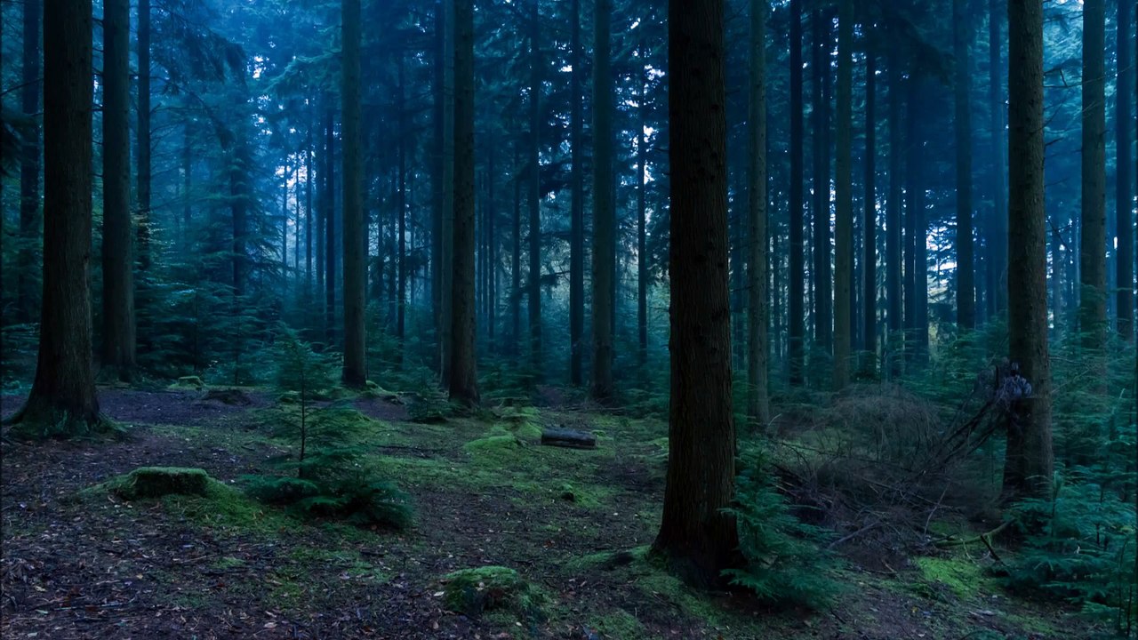 Ambient Music׃ Plains of Eternity