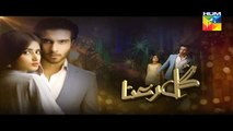 Gul-e-Rana Episode 20 Pomo on Hum Tv in High Quality 19th March 2016