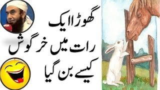 How a horse became rabbit overnight - Comedy by Maulana Tariq Jameel Molana Tariq Jameel Best Byan,Best Byan By Molana