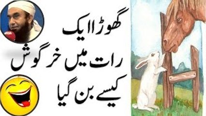 How a horse became rabbit overnight - Comedy by Maulana Tariq Jameel Molana Tariq Jameel Best Byan,Best Byan By Molana