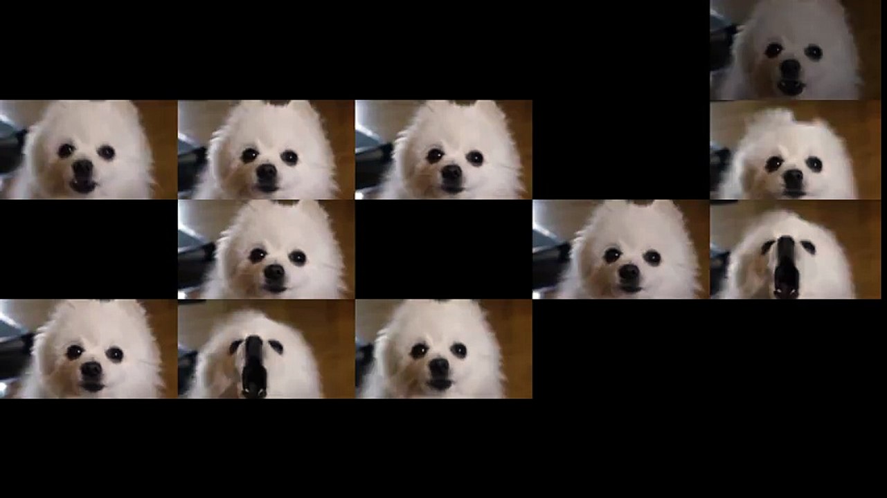 Gabesong (Undertale - Dogsong)