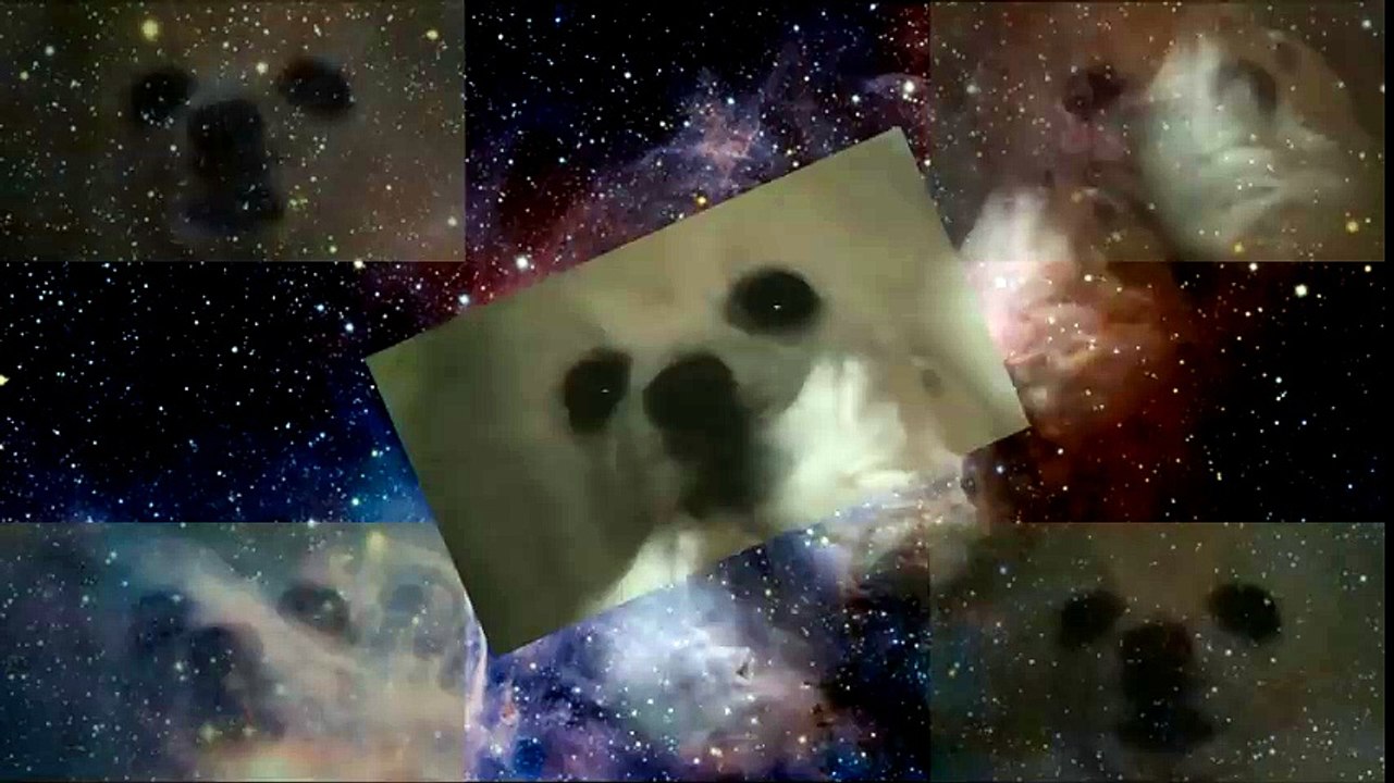 Gabe-ywpg in Space