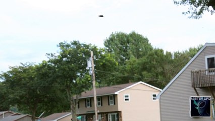 Incredible TR3B UFO Video Over Eau Claire, Wisconsin Discovered. (Amazing Footage)
