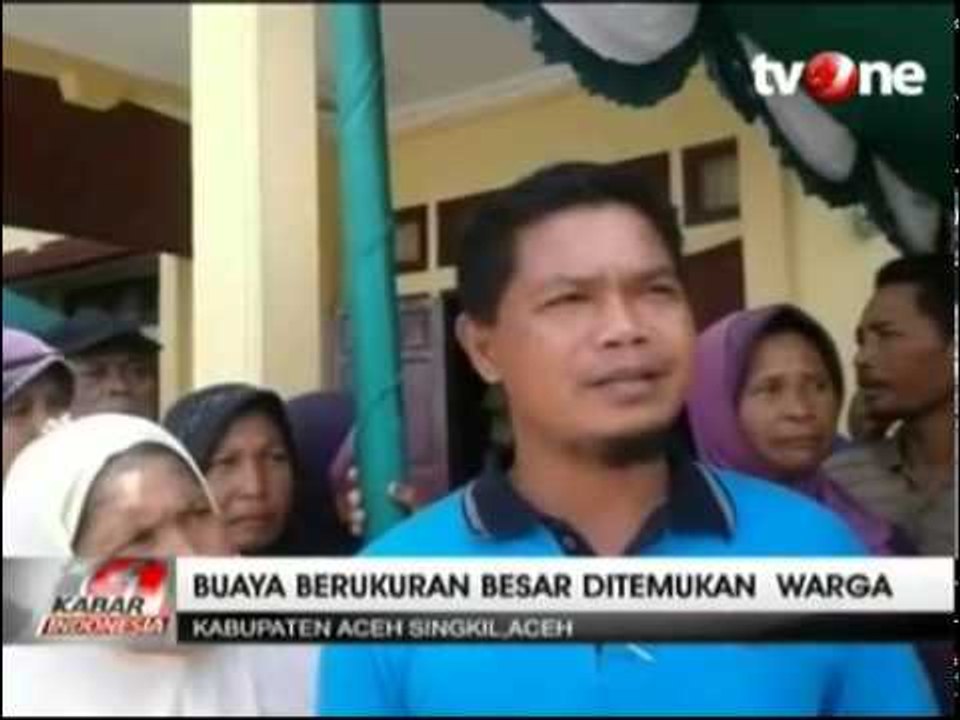 Warga Aceh Tangkap Buaya Berukuran 4 Meter