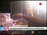 Anggur Impor Berformalin Ditemukan di Lampung