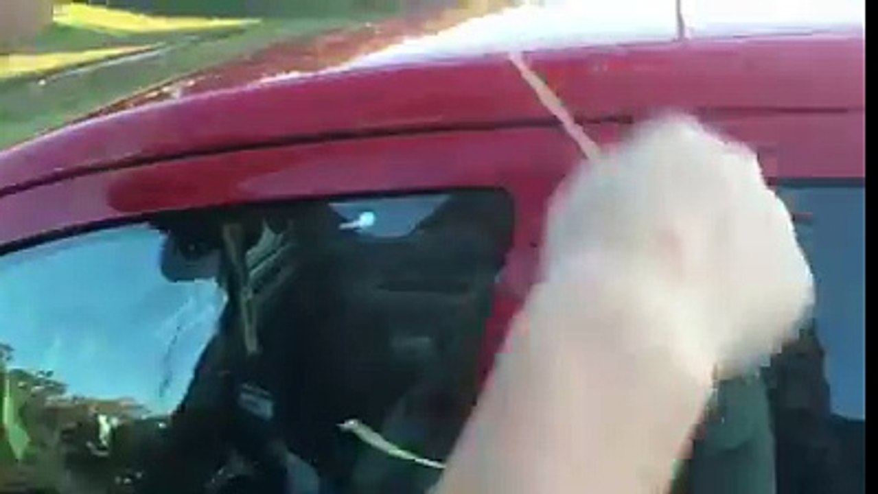 car lock opening trick