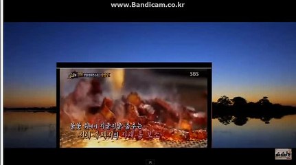#토토솔루션 올자동 토토 솔루션 판매(토토 솔루션 소스)가격 공개!ね 카톡: haricuty스카이프:haricuty