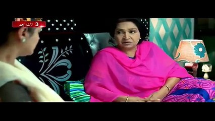 Bheegi Palkein Episode 20 in HD